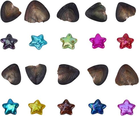 محارة البحر العذبة من البحر الأبيض مع لؤلؤ داخله 10 قطع in Kuwait