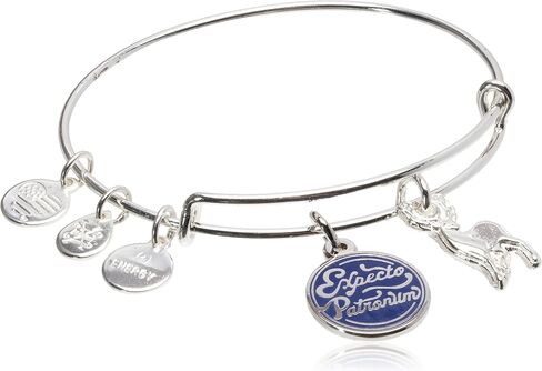 Alex and Ani Collaborations Harry Potter Duo Charms سوار قابل للتوسيع للنساء، لمسة نهائية لامعة، من 2 إلى 3.5 بوصة in Kuwait