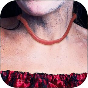 choice of all 4Pcs Halloween Black Choker Necklace Vampire Necklace with Bracelet and Earrings Set for Woman Gothic Vintage Jewelry for Halloween Costume Party Girls