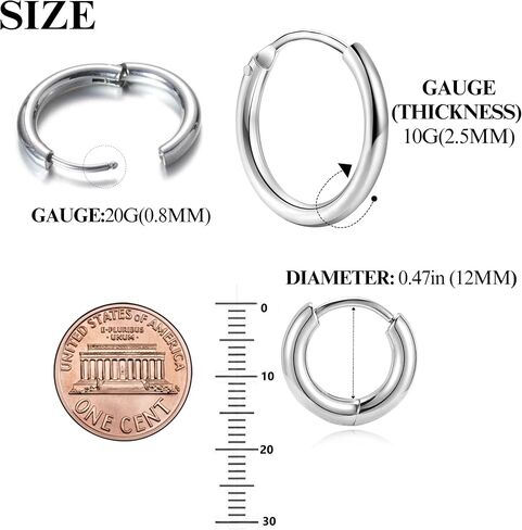 BLISI G23 Titanium Hoop Earrings, Hinged Huggie Hoop Earrings for Lobe Cartilage 8mm/10mm/12mm Hypoallergenic Lightweight Huggie Hoops Earring with 14K Gold Plated Earrings for Women Men Girls in Saudi Arabia