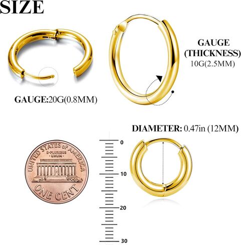 BLISI G23 Titanium Hoop Earrings, Hinged Huggie Hoop Earrings for Lobe Cartilage 8mm/10mm/12mm Hypoallergenic Lightweight Huggie Hoops Earring with 14K Gold Plated Earrings for Women Men Girls in Saudi Arabia