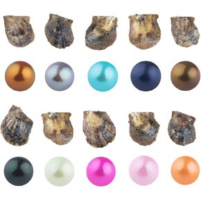 محار اكويا للمياه المالحة مع لؤلؤ داخلي من سياسان، 10 قطع (7-8 ملم) (اللون II) in Kuwait