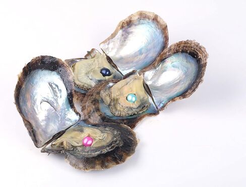 محار اكويا للمياه المالحة مع لؤلؤ داخلي من سياسان، 10 قطع (7-8 ملم) (اللون II) in Kuwait