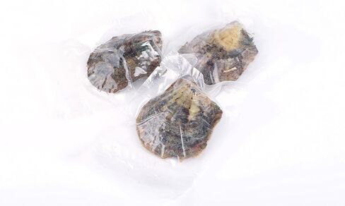 محار اكويا للمياه المالحة مع لؤلؤ داخلي من سياسان، 10 قطع (7-8 ملم) (اللون II) in Kuwait