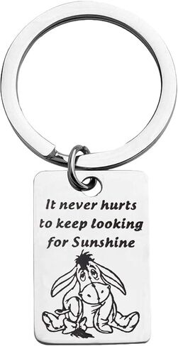 KUIYAI It Never Hurts to Keep Looking for Sunshine Bracelet Donkey Quote Bracelet Inspiration Gift in Saudi Arabia