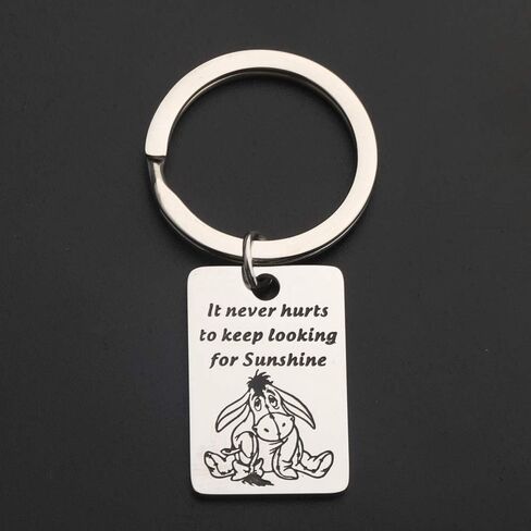 KUIYAI It Never Hurts to Keep Looking for Sunshine Bracelet Donkey Quote Bracelet Inspiration Gift in Saudi Arabia