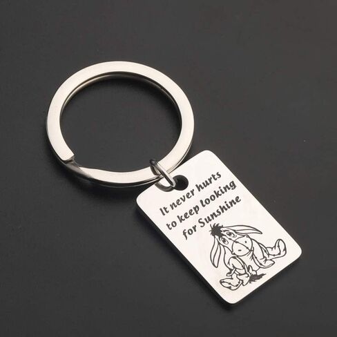 KUIYAI It Never Hurts to Keep Looking for Sunshine Bracelet Donkey Quote Bracelet Inspiration Gift in Saudi Arabia