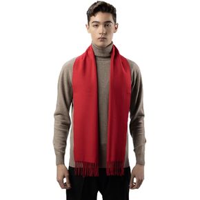 EVSEG 100% Mongolian Cashmere Winter Scarf | Imported Cashmere | Men and Women | 25x170cm