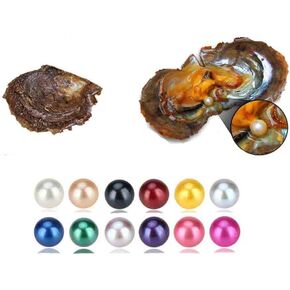 LGSY 1PC 6-7mm Mixed Colored Akoya Saltwater Cultured Pearl Oysters for DIY Jewelry Making(Random Color) in Saudi Arabia