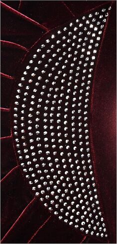 Alex Evenings Women's Short Velvet Cocktail Dress with Beading Detail (Reg Petite) in Saudi Arabia
