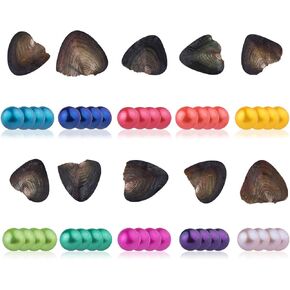 محار محار رباعي من سيسان مع 4 لآلئ داخلية 10 قطع (7-8 ملم) in Kuwait