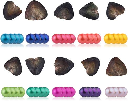 محار محار رباعي من سيسان مع 4 لآلئ داخلية 10 قطع (7-8 ملم) in Kuwait