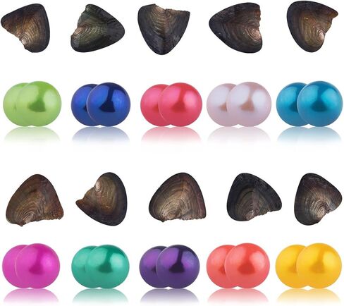 SEASAN Twins Oyster Pearls Freshwater Freshwater Culture Oysters with Twin Pearls Inside 10 قطع (7-8ملم) in Kuwait