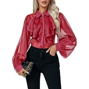 Rooscier Women's Sheer Mesh Collar V Neck Long Sleeve Button Down Sexy Blouse Tops