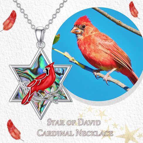 TOUPOP Cardinal Gifts for Women Sterling Silver Red Bird Cardinals Sympathy Pendant Necklace Valentines Day Jewelry for Her Wife Mom Birthday Anniversary Gifts, I am Always with You in Kuwait
