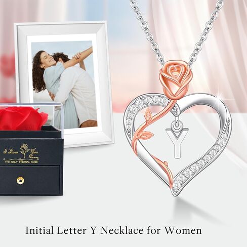 JoycuFF 𝗥𝗼𝗺𝗮𝗻𝘁𝗶𝗰 𝗚𝗶𝗳𝘁𝘀 𝗳𝗼𝗿 𝗪𝗼𝗺𝗲𝗻 قلادة على شكل قلب وردي، هدية عيد ميلاد للصديقة والزوجة مع صندوق وردة in Kuwait