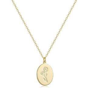 S.J JEWELRY 14K Gold Plated Guardian Flower Necklace Disc Coin Pendant Personalized Gift for Women Girls 12 Months Constellation Birthday Lucky Flower Necklace