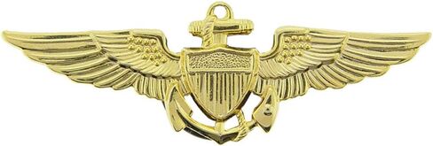 United States USMC & USN Large Wings Lapel Pin in Saudi Arabia
