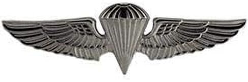 United States USMC & USN Large Wings Lapel Pin in Saudi Arabia