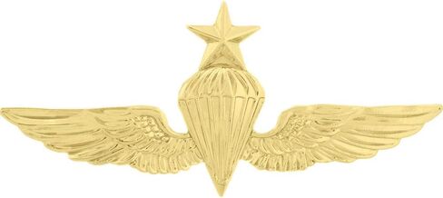 United States USMC & USN Large Wings Lapel Pin in Saudi Arabia