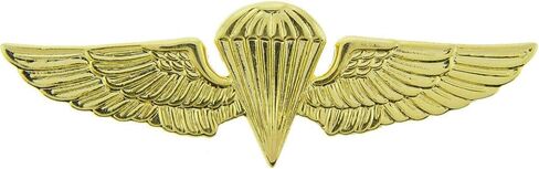United States USMC & USN Large Wings Lapel Pin in Saudi Arabia