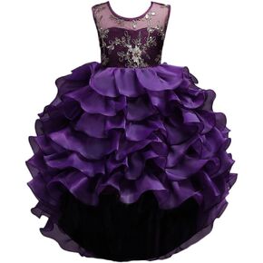 زهرة فتاة الأميرة توتو فستان الزفاف وصيفة الشرف خمر كشكش الدانتيل مهرجان حفلة رسمية زائدة بالتواصل ثوب in Kuwait