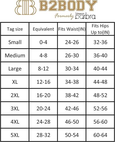 ملابس داخلية نسائية B2BODY، سراويل داخلية عالية الخصر للتحكم في البطن، مقاس صغير إلى كبير، ألوان متنوعة، عبوة متعددة in Kuwait