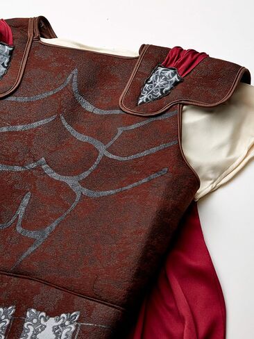 Rubie's Costume Men's Roman Soldier Adult Costume in Saudi Arabia