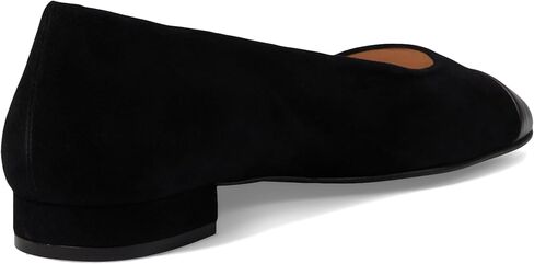 French Sole Insight in Kuwait