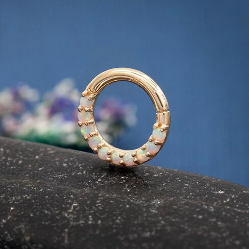 حلقات حاجز الانف من الذهب عيار 14 قيراط 16 غرام للنساء والرجال من ديزاينفي، اقراط حلقية مفصلية 6 ملم 8 ملم، حلقات زركونيا مكعبة للانف وحاجز الانف وهيليكس وروك وزنمة الاذن، مضادة للحساسية، لون in Kuwait