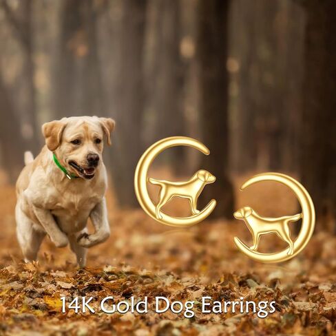 KECHO 14k Gold Animal Earrings Solid Gold Moon Stud Earrings for Women Girls 14K Real Gold Jewelry Gifts for Her in Kuwait
