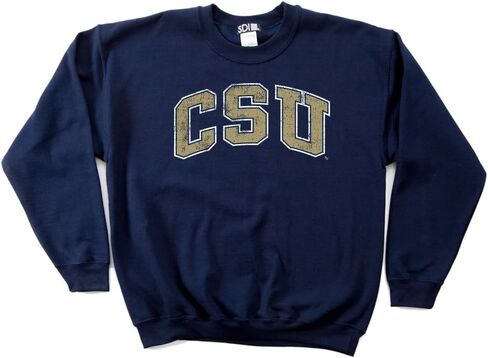 50/50 Blended 8-Ounce Vintage Arch Crewneck Sweatshirt in Saudi Arabia