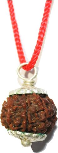 IS4A IndianStore4All Genuine Certified Himalayan 7 Face (Mukhi) Rudraksha Seeds (Beads) Tibetan Meditation Beads Prayer Charm Sterling Silver Pendant in Saudi Arabia