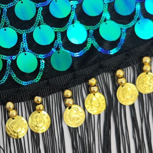 ZLTdream Glitter Sequin Triangle Wrap Belt Skirt Sparkle Belly Dance Hip Scarf for Women Outfit Accessory Tassel & Coins in Kuwait
