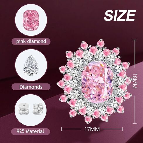 925 Sterling Silver Stud Earrings for Women, Flower Cubic Zirconia Earrings Hypoallergenic Not Easy Loosen Christmas Valentines Day Gift for Wife Mother Girlfriend in Saudi Arabia