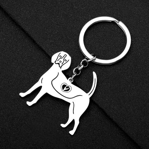 NEWEI Stainless Steel Dog Keyring Cute Pet Dog Keychain for Women Girls Dog Lovers Purse Car Keys Charms in Saudi Arabia