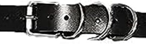 CHIRCOLS الشرير الخصر سلسلة جلدية سوداء الجسم سلسلة تسخير حزام البطن سلاسل ملهى ليلي حفلة الجسم اكسسوارات مجوهرات in Kuwait