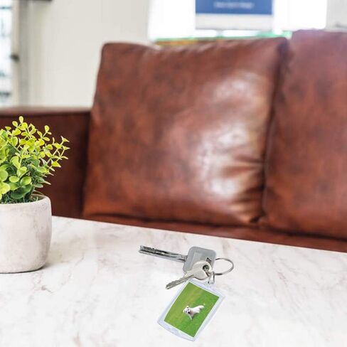 30 قطعة من الأكريليك إطار الصورة ، سلسلة مفاتيح واضحة ، حلقة مفاتيح فارغة من الأكريليك ، صور إدراج سلاسل المفاتيح مع خاتم منفصل للرجال والنساء ، (واضح، 1.5 × 2.1 بوصة)، واضح، 11 بوصة, شفاف, 11 inch in Kuwait