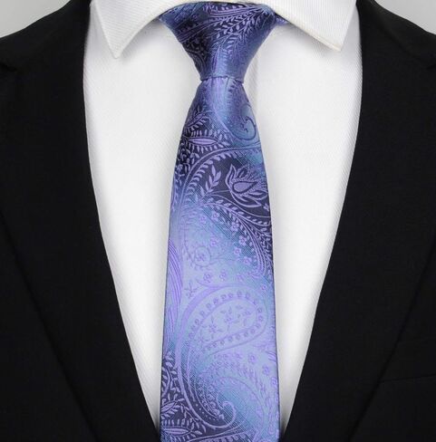 Secdtie Men's Paisley Pattern Ties Jacquard Woven Luxury Designer Suit Neckties in Saudi Arabia
