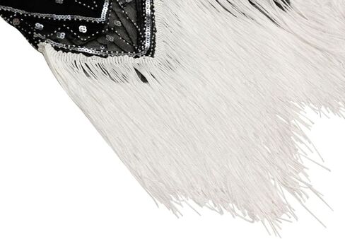 FUNDAISY Womens Vintage Lace Fringed Gatsby 1920s Cocktail Dress with 20s Accessories Set in Kuwait