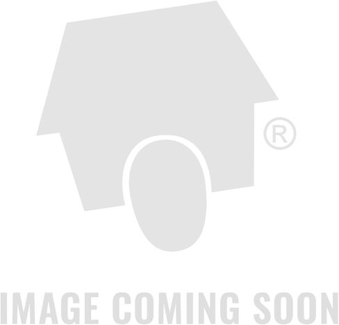 HEELYS Women's Sneaker in Saudi Arabia