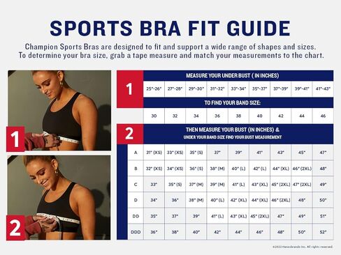 Champion Women's Sports Bra, Absolute, Moisture Wicking, High-Impact Sports Bra for Women in Saudi Arabia