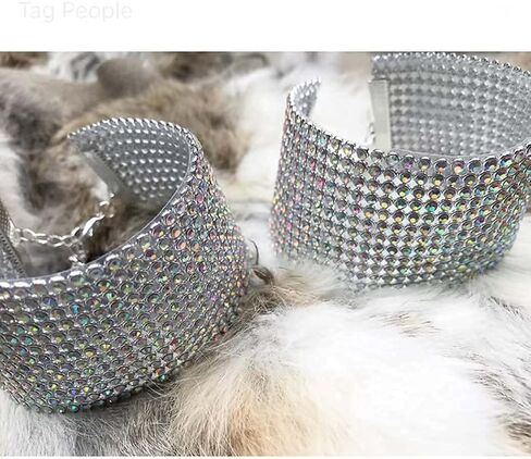 EVILD Glitter Rhinestone Anklet Silver Tassel Fashion Crystal Ankle Bracelet Sparky Party Club Anklets Tennis Rhinestone Foot Jewelry for Women and Girls in Kuwait