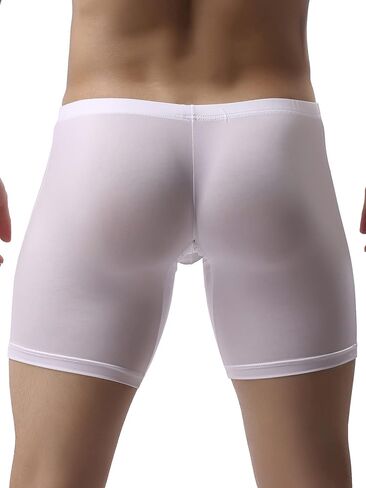 WINDAY Men's Briefs Breathable Ice Silk Sports-Inspired Underwear Boxer Briefs in Kuwait