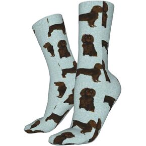 AOTOSE Boykin Spaniel Pet Men's Athletic Ankle Socks Cushion Running Socks for Men&Women Cotton Socks Crew Socks in Kuwait