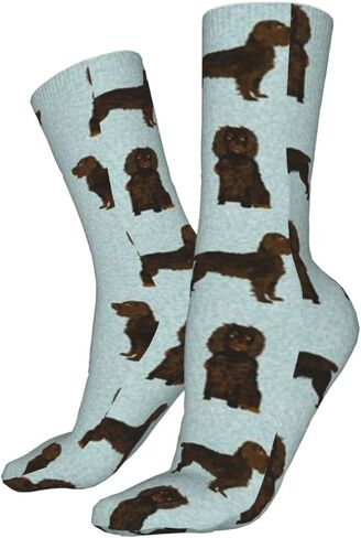 AOTOSE Boykin Spaniel Pet Men's Athletic Ankle Socks Cushion Running Socks for Men&Women Cotton Socks Crew Socks in Kuwait