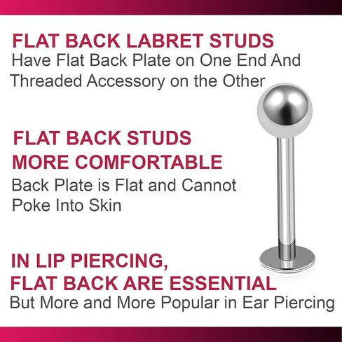 Bodyjewellery 4 قطعة 14 جرام Labret ترصيع الشفاه الدائري ثعبان العنكبوت لدغة إلى الأمام اللولب مونرو داليا الداخلية محارة الجراحية الصلب 4 مللي متر الكرة اختيار حجم in Kuwait