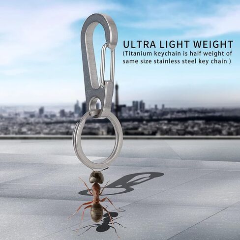 SanThee Titanium Ti Carabiner Key Ring Kit, Mini Quick Release Heavy Duty Hooks Keychain Clip for Men Women, Comes with Metal Gifts Case in Kuwait