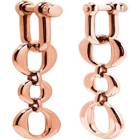 DEWGEM Stainless Steel Ear Gauges Hangers for Ear Tunnels Ear Weights Replace Tapers and Spirals Ear Stretching Kits Dangle Gauges Ear Plugs for Women Size 6G