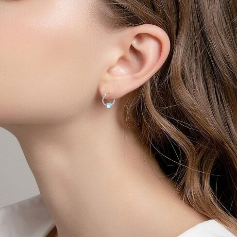 CHENGHONG Moonstone الأقراط 925 الفضة الاسترليني جولة / القلب / نجمة Huggie هوب الأقراط للنساء الأقراط هيبوالرجينيك للآذان الحساسة Moonstone مجوهرات هدايا للفتيات المراهقات in Kuwait